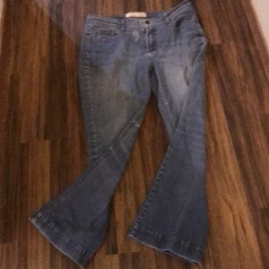 Faded glory petite jeans